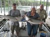 (07/21/2015) - Nice Striped Bass